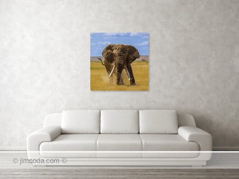 Fine art photo print example in living room
