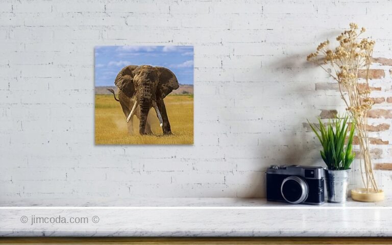 Fine art photo print example in living room