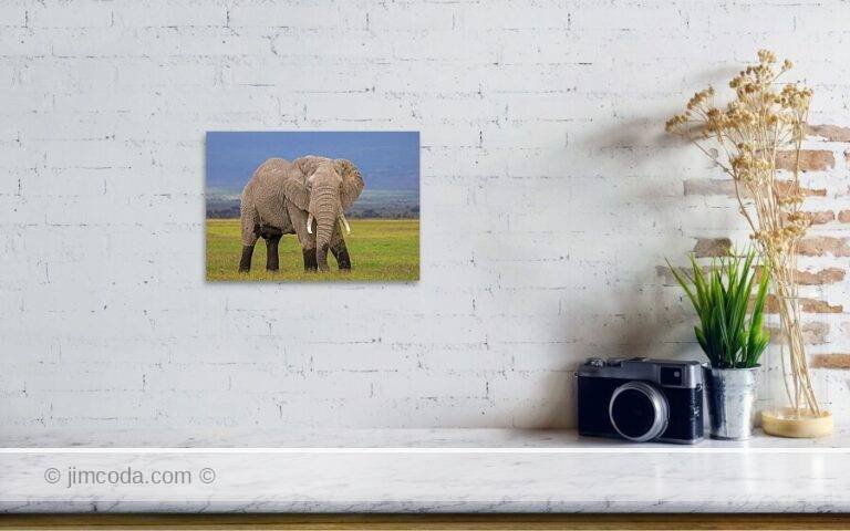 Fine art photo print example in living room
