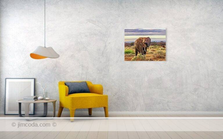 Fine art photo print example in living room