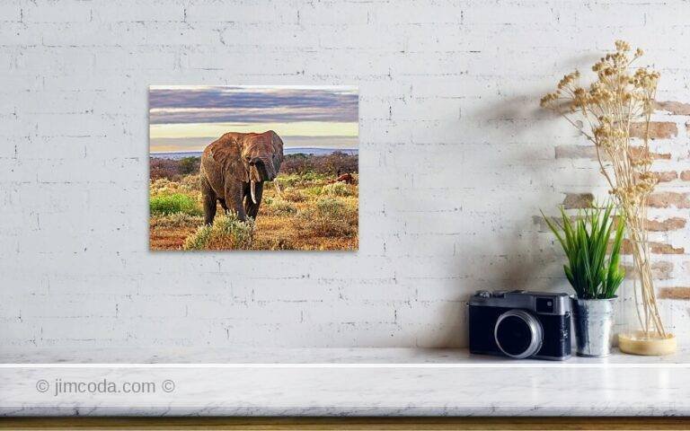 Fine art photo print example in living room