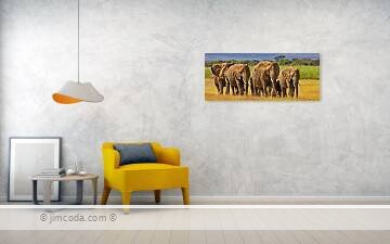 Fine art photo print example in living room
