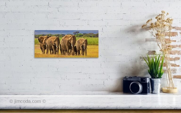 Fine art photo print example in living room