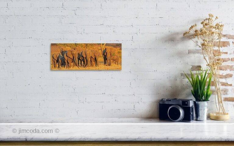 Fine art photo print example in living room