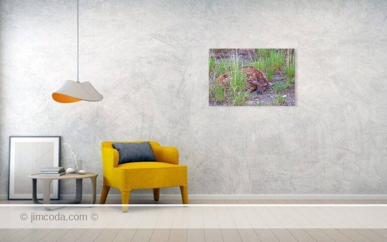 Fine art photo print example in living room