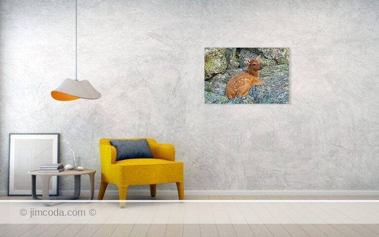 Fine art photo print example in living room