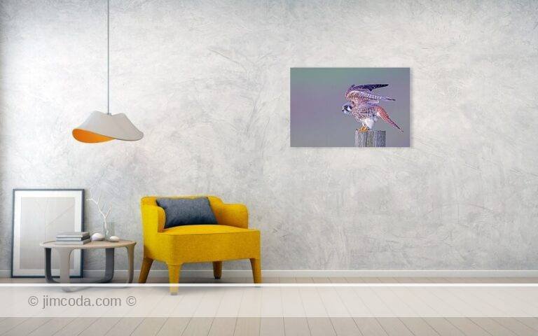 Fine art photo print example in living room