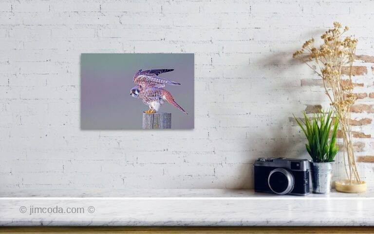 Fine art photo print example in living room