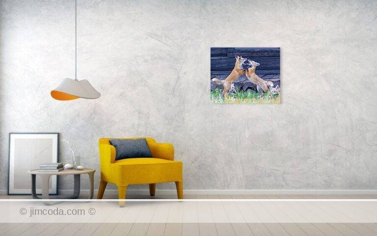 Fine art photo print example in living room