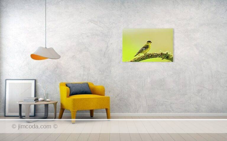 Fine art photo print example in living room