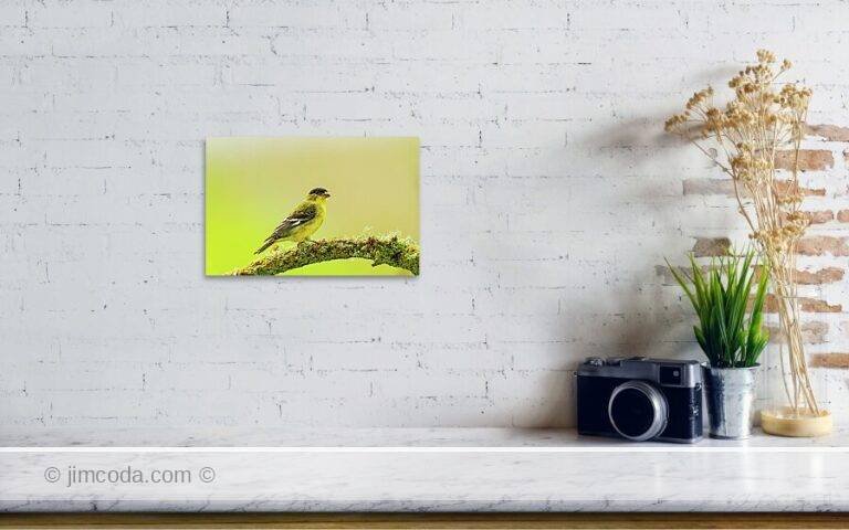 Fine art photo print example in living room
