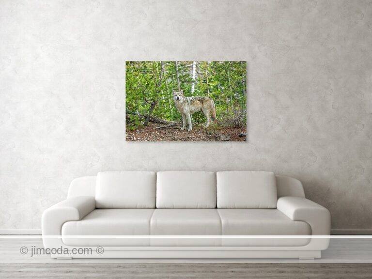 Fine art photo print example in living room