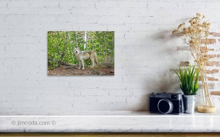 Fine art photo print example in living room