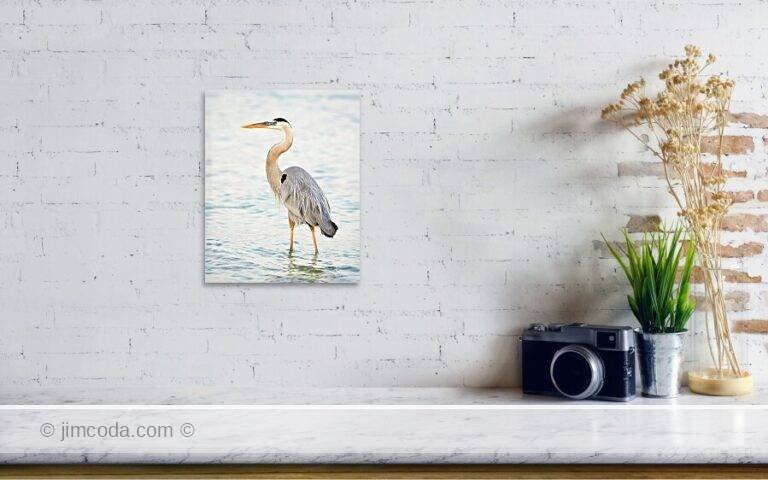 Fine art photo print example in living room