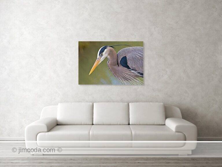 Fine art photo print example in living room