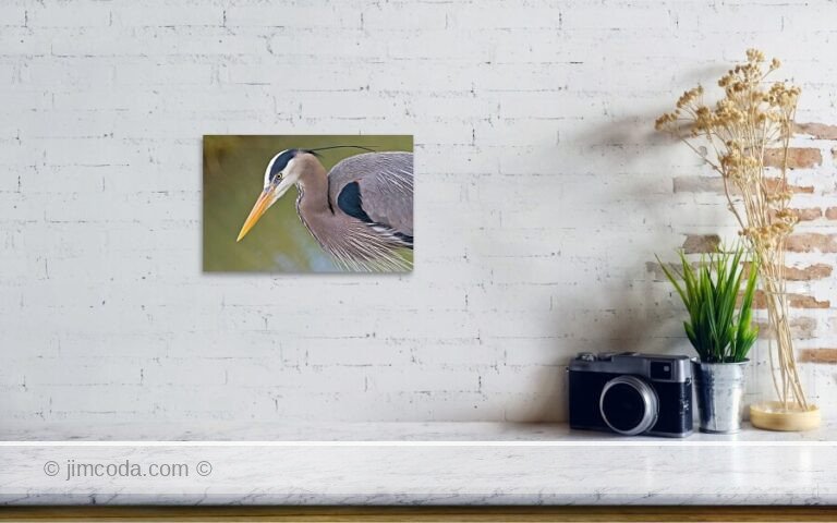 Fine art photo print example in living room