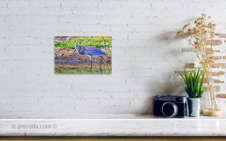 Fine art photo print example in living room
