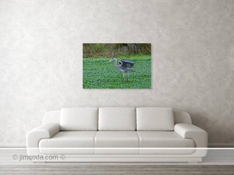 Fine art photo print example in living room