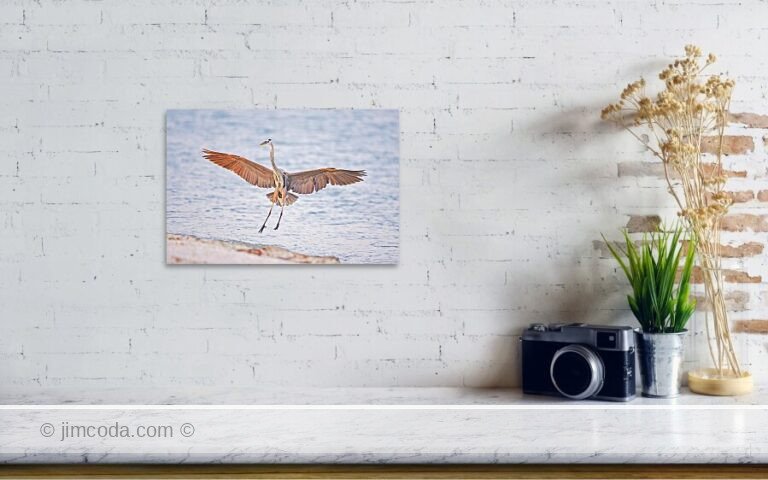 Fine art photo print example in living room