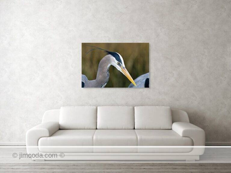 Fine art photo print example in living room