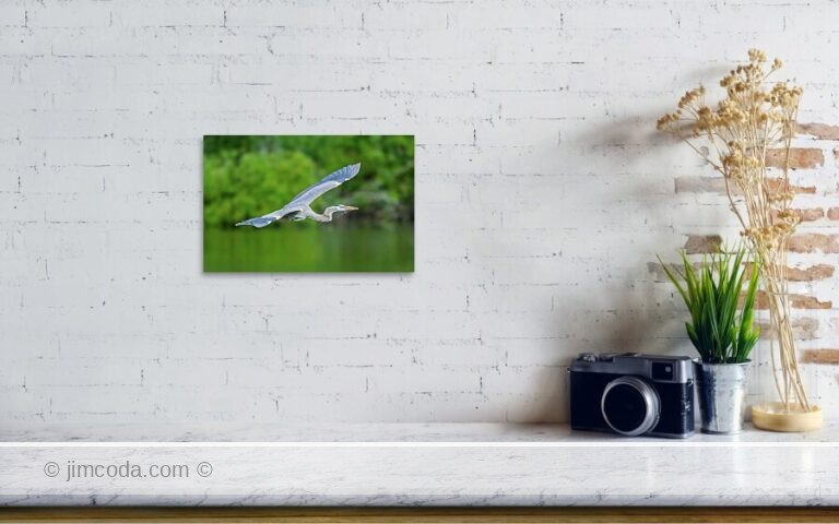Fine art photo print example in living room