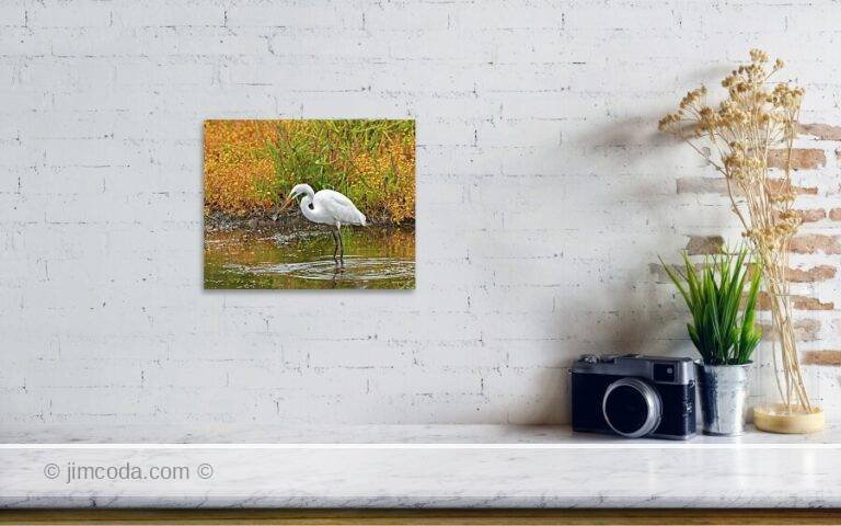 Fine art photo print example in living room