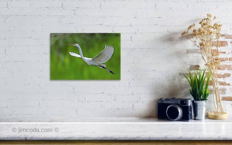 Fine art photo print example in living room