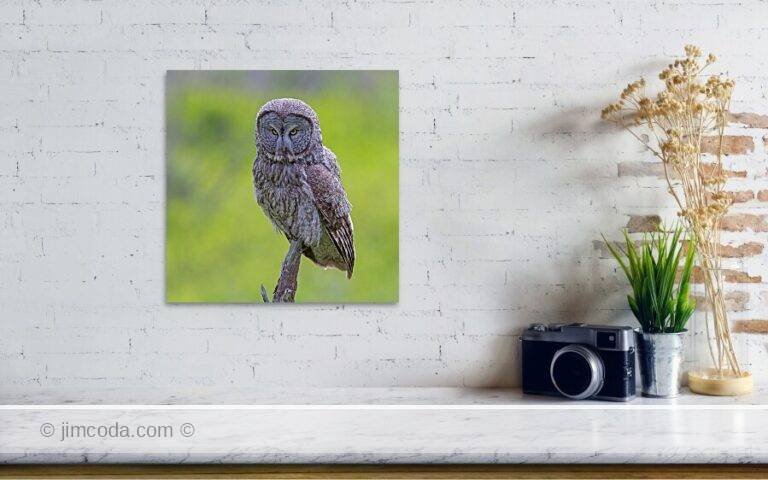 Fine art photo print example in living room