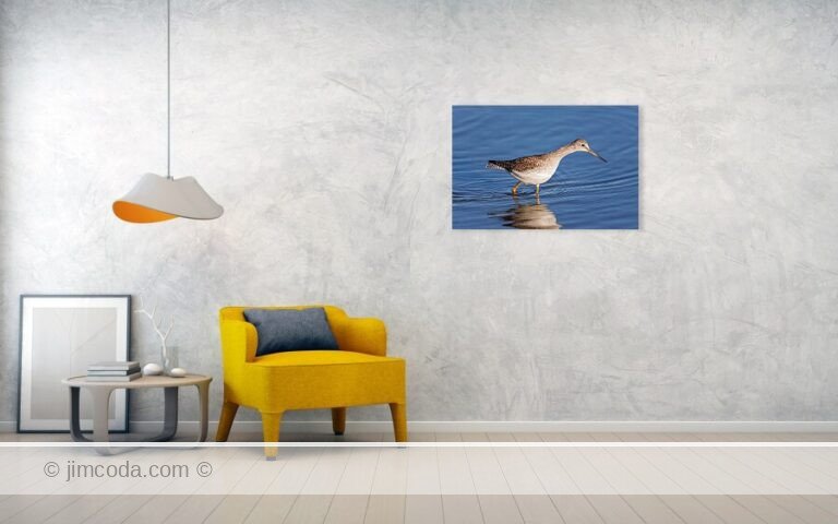 Fine art photo print example in living room