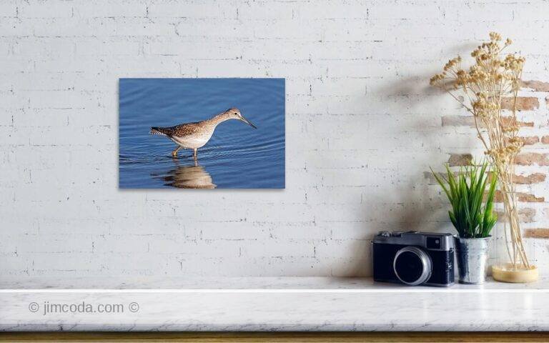 Fine art photo print example in living room