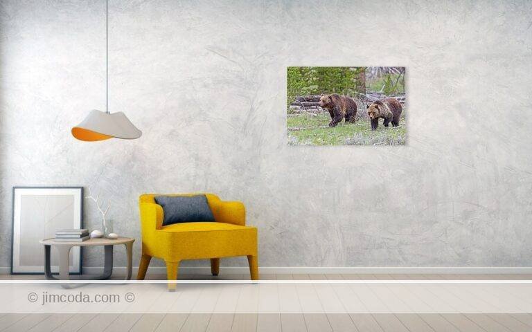 Fine art photo print example in living room