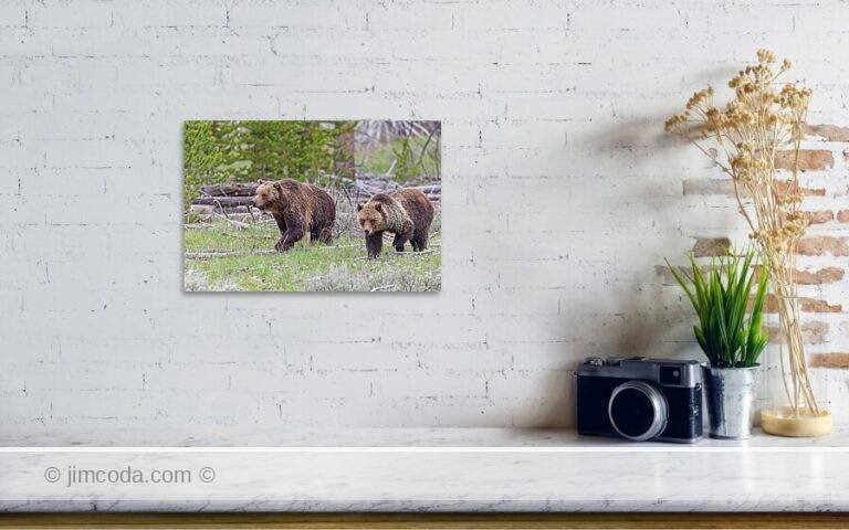 Fine art photo print example in living room