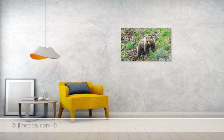 Fine art photo print example in living room