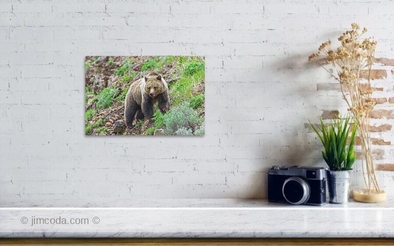 Fine art photo print example in living room