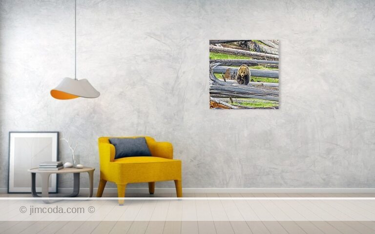 Fine art photo print example in living room