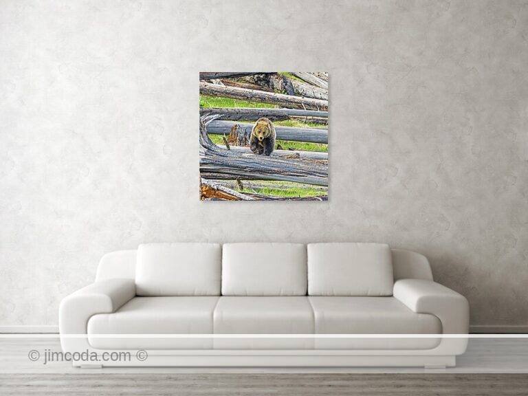 Fine art photo print example in living room