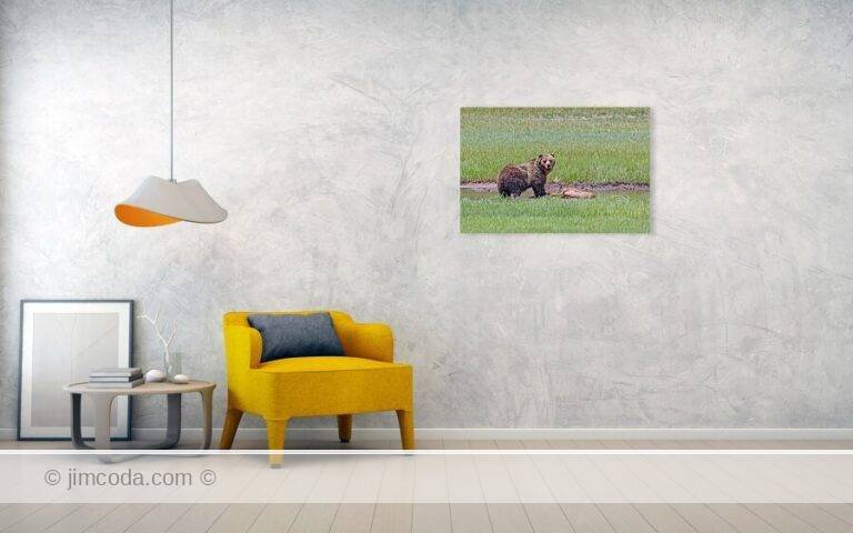Fine art photo print example in living room