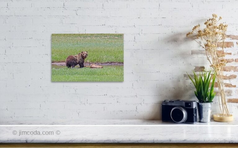 Fine art photo print example in living room