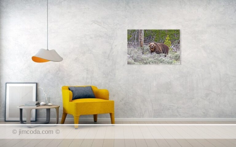 Fine art photo print example in living room