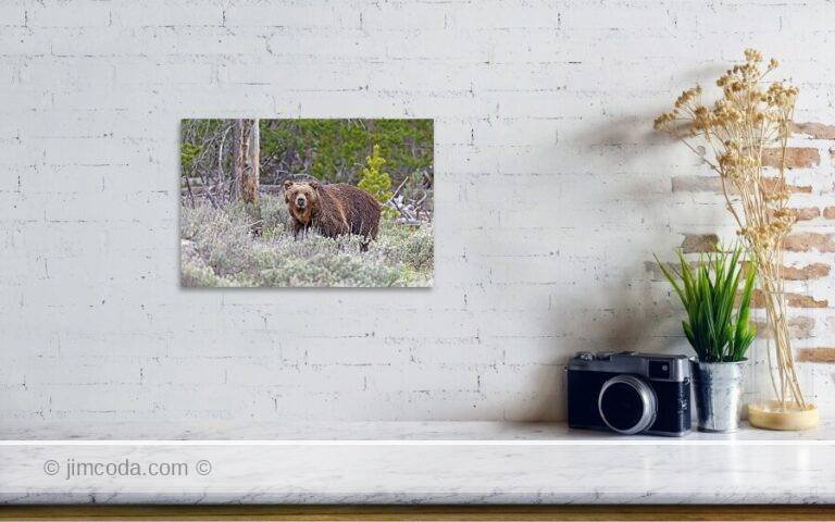 Fine art photo print example in living room