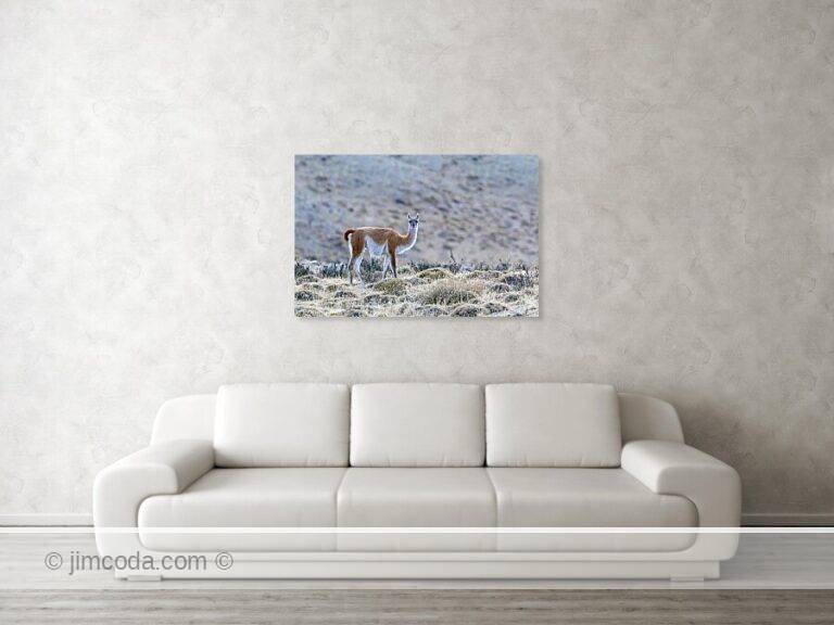 Fine art photo print example in living room