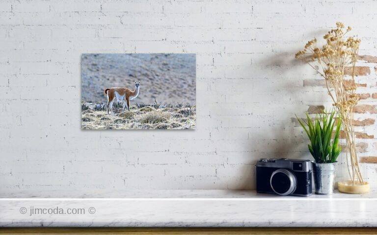 Fine art photo print example in living room