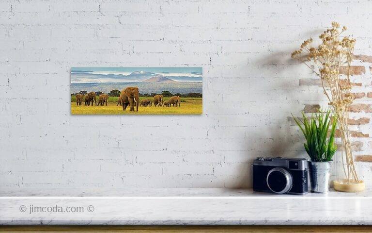 Fine art photo print example in living room