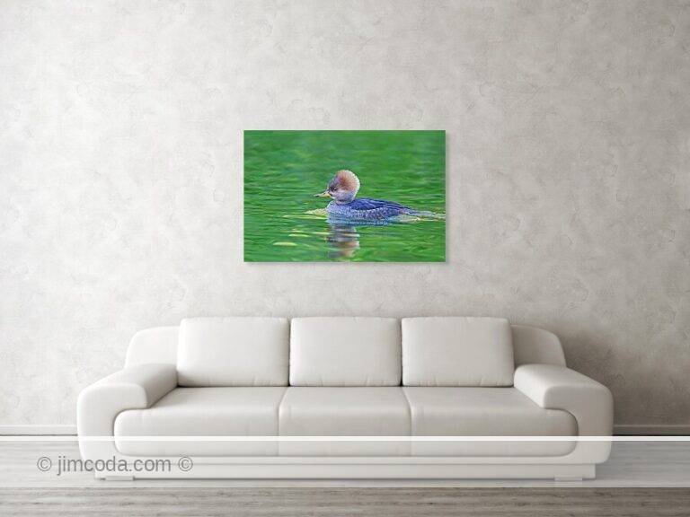 Fine art photo print example in living room