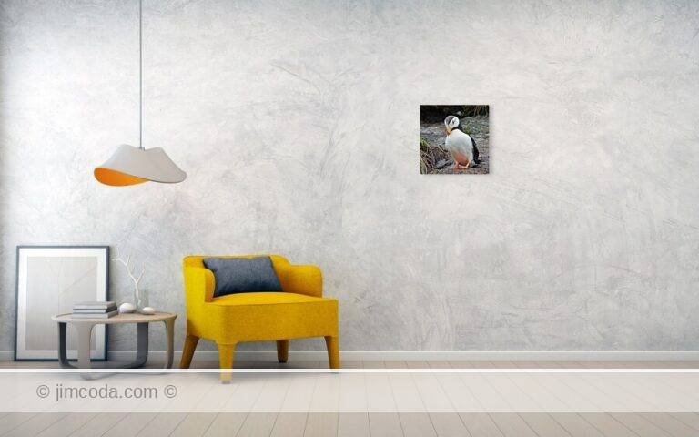 Fine art photo print example in living room