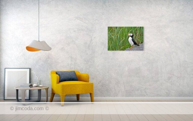 Fine art photo print example in living room