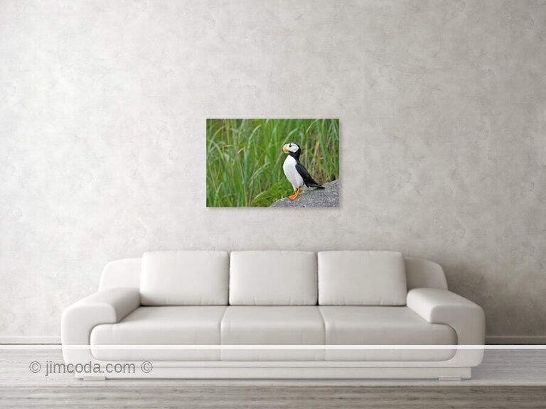Fine art photo print example in living room