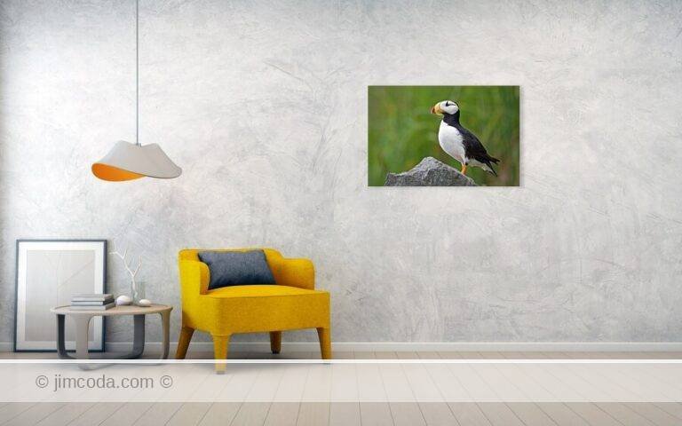 Fine art photo print example in living room