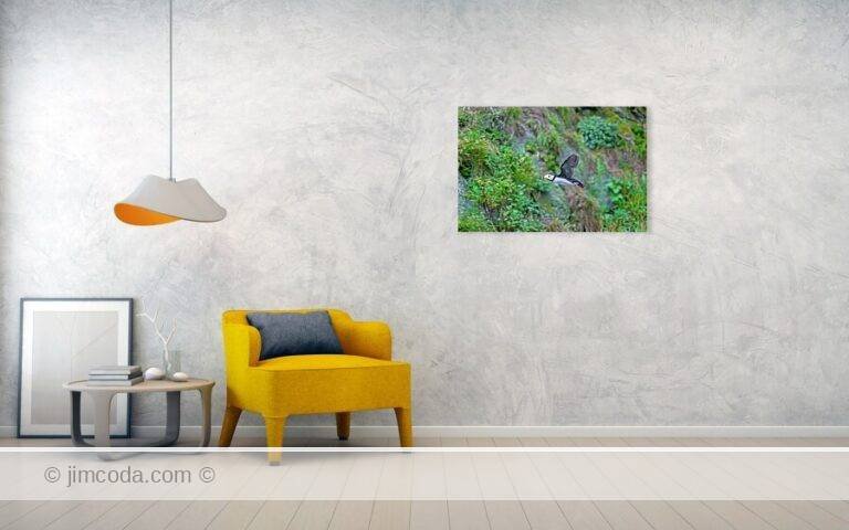 Fine art photo print example in living room