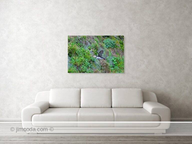 Fine art photo print example in living room